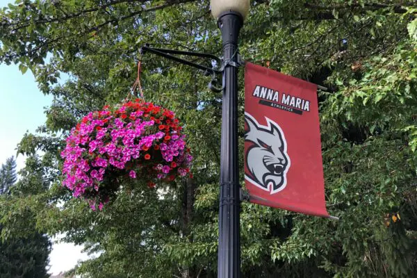 Photo of Anna Maria College lamppost banner
