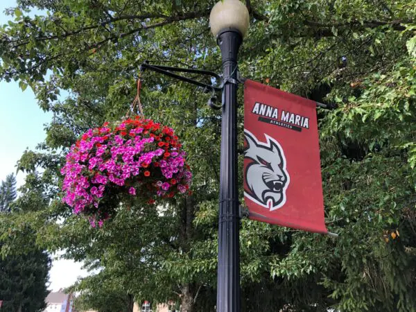 Photo of Anna Maria College lamppost banner