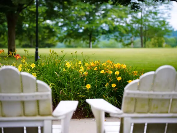 Photo of campus quad, adirondack chairs, daffodils