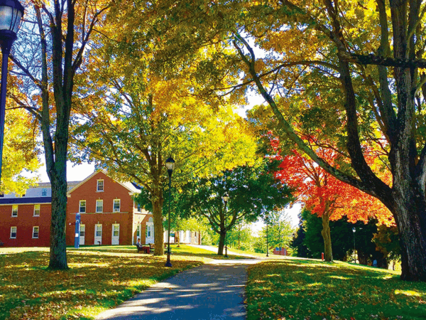 Nichols College campus