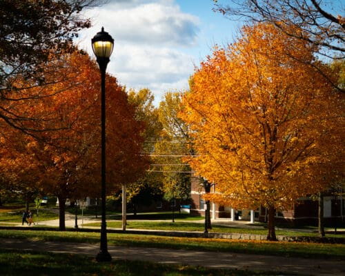 Vibrant orange and gold fall foliage surrounds a lit campus lamp post on the Nichols College campus with brick buildings visible in the background