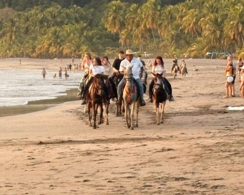Nichols College students ride horses along a tropical beach at sunset in Costa Rica, with palm trees and ocean waves in the background